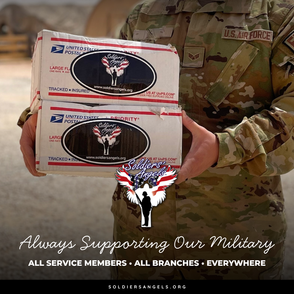 Branded veterans outreach graphic